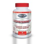 Экдистерон П, таблетки 500 мг 120 шт Ecdysterone P БАД Фитнес энд Лайф